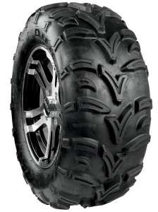 25x8-12/6 2036